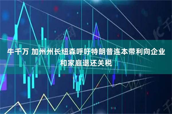 牛千万 加州州长纽森呼吁特朗普连本带利向企业和家庭退还关税