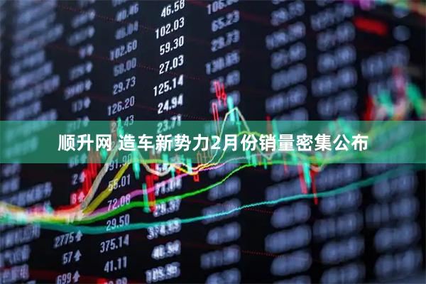 顺升网 造车新势力2月份销量密集公布
