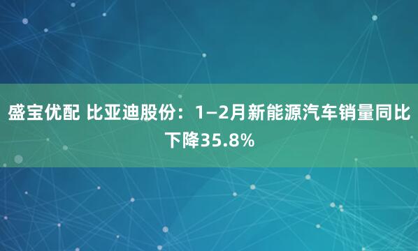 盛宝优配 比亚迪股份：1—2月新能源汽车销量同比下降35.8%