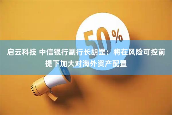 启云科技 中信银行副行长胡罡：将在风险可控前提下加大对海外资产配置