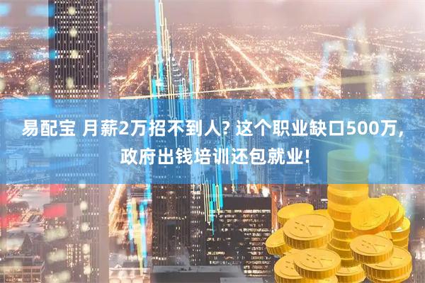 易配宝 月薪2万招不到人? 这个职业缺口500万, 政府出钱培训还包就业!