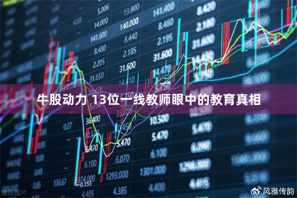 牛股动力 13位一线教师眼中的教育真相
