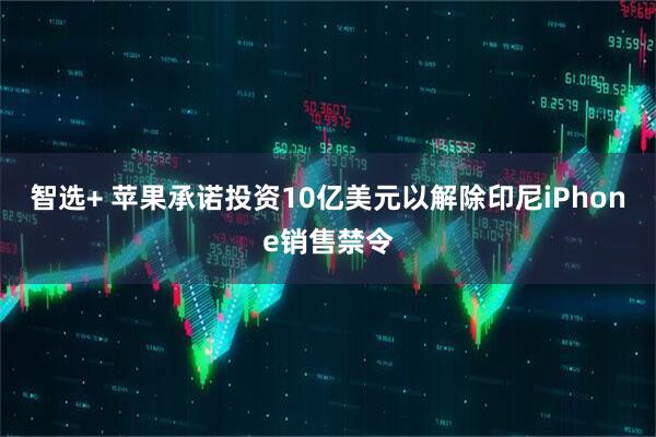 智选+ 苹果承诺投资10亿美元以解除印尼iPhone销售禁令