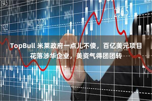 TopBull 米莱政府一点儿不傻，百亿美元项目花落涉华企业，美资气得团团转