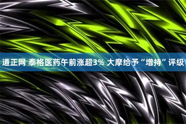 道正网 泰格医药午前涨超3% 大摩给予“增持”评级