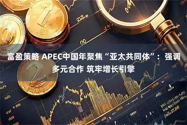 富盈策略 APEC中国年聚焦“亚太共同体”：强调多元合作 筑牢增长引擎