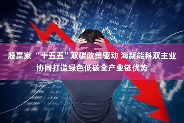 股赢家 “十五五”双碳政策驱动 海新能科双主业协同打造绿色低碳全产业链优势