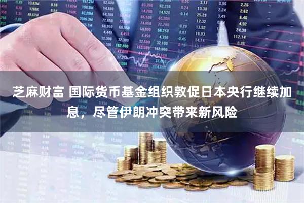 芝麻财富 国际货币基金组织敦促日本央行继续加息，尽管伊朗冲突带来新风险